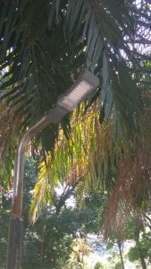 Semua lampu PJU menggunakan lampu LED