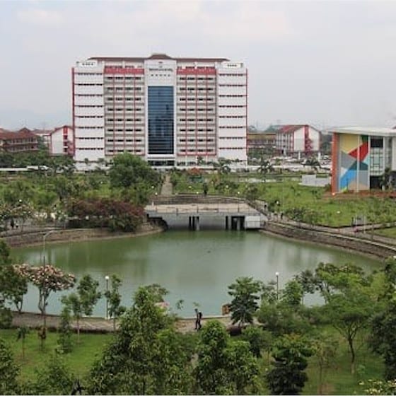 Setting and Infrastructure Telkom University