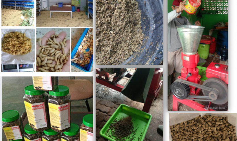 Let’s Choose, Reduce and Utilize The Trash!