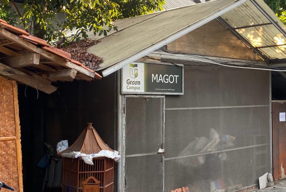 Maggot Cultivation as a Sustainable Solution in Organic Waste Management in Telkom University Environment