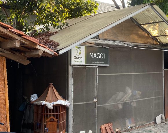 Maggot Cultivation as a Sustainable Solution in Organic Waste Management in Telkom University Environment