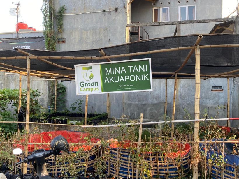Aquaponics Farming: Telkom University’s Eco-Friendly Campus Aquaponics Farming: Telkom University’s Eco-Friendly Campus