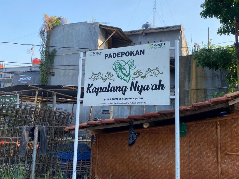 Kapalang Nya’ah: Managing Livestock from Waste Management Kapalang Nya’ah: Managing Livestock from Waste Management